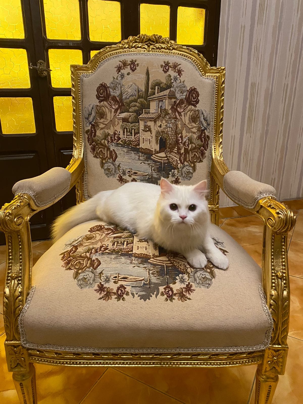 صالون